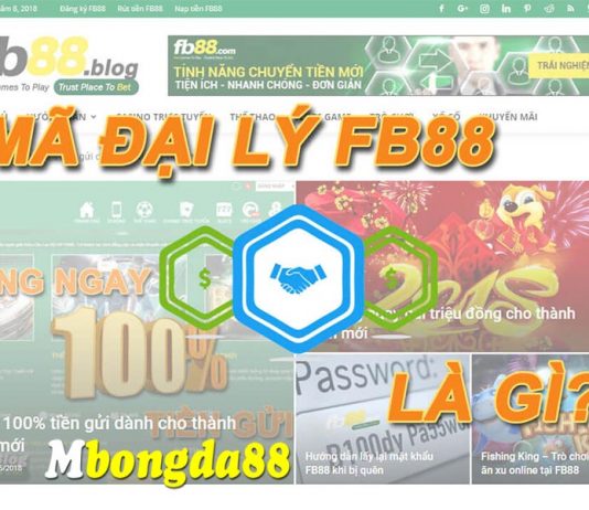 Mã Đại Lý FB88 là gì? Dùng Mã đại lý có an toàn không? Mã Đại Lý FB88 là gì? Dùng Mã đại lý có an toàn không?